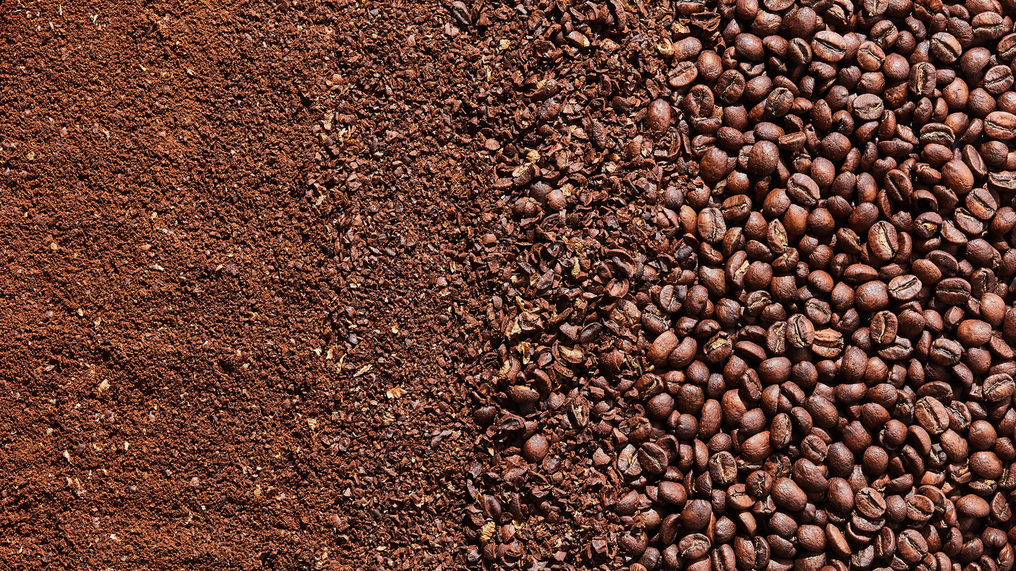 Coffee Beans (1 Pound)